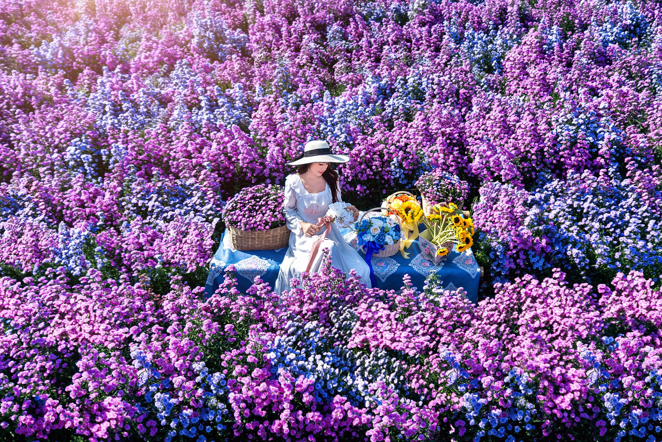 Beautiful girl in white dress sitting in Margaret flowers fields, Chiang Mai.